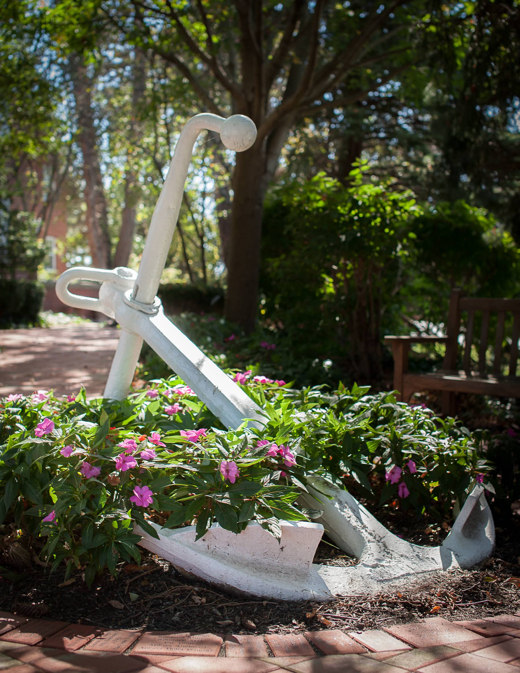 A large Delta Gamma anchor in rose bushes