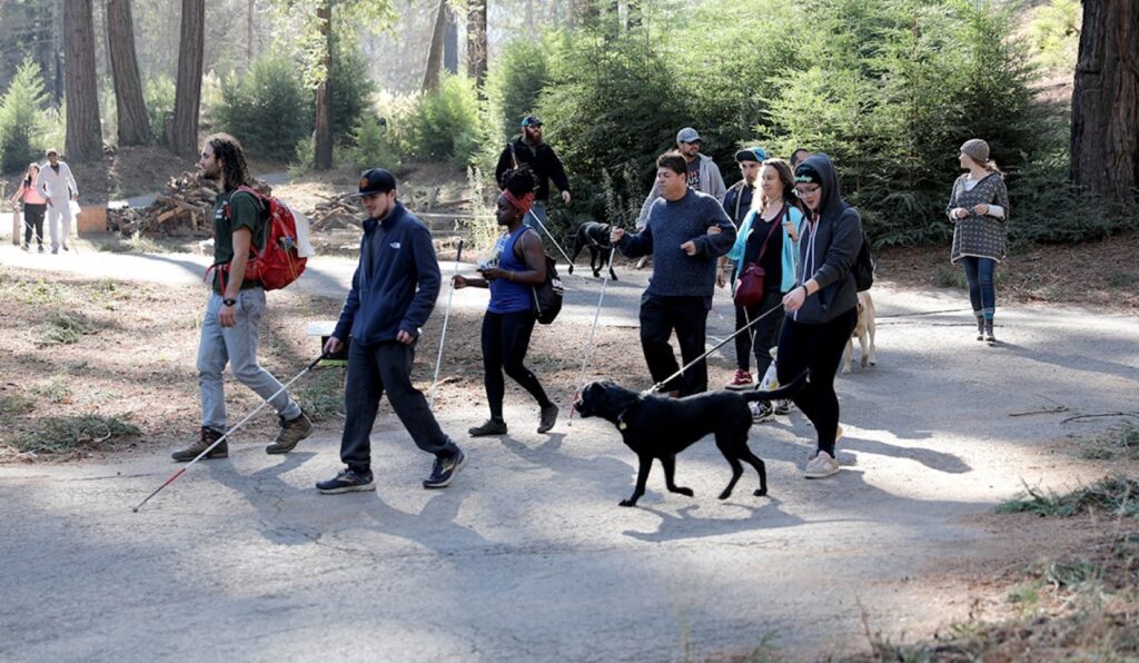 Group of blind people walking with their canes and guide dogs