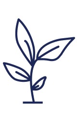 Health and Well-Being icon