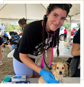 A DG alumna looks up and smiles at the camera as she is examining a small puppy sitting on a table outside under a tent. She is wearing gloves and a stethoscope.